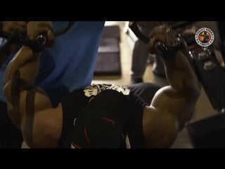 Roelly winklaar & essa obaid train chest