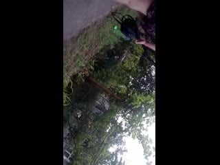 Trim 20200612 231403 mp4