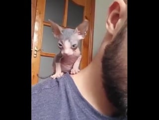 И мило и противно