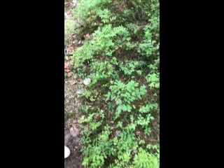 Крутим попой всем на зависть)))