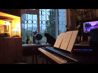 Yann tiersen wathing lara