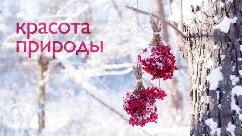 Видео обзор постельное белье verossa constante porcelain (перкаль)