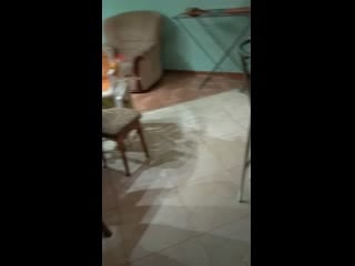 Vid 20200414 210250 mp4