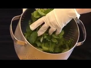 Matt wilkinsons nettle and green herb soup