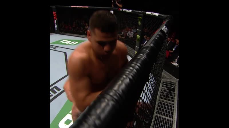 Тай туиваса рашад колтер