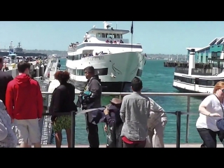 Whale watching boat crashing into san diego dock