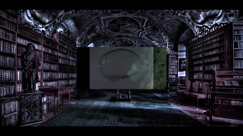 Erkenne dich selbst diezuversicht