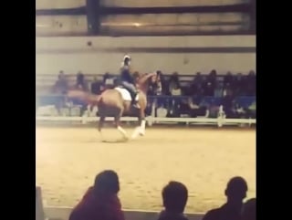 Charlotte dujardin clinic