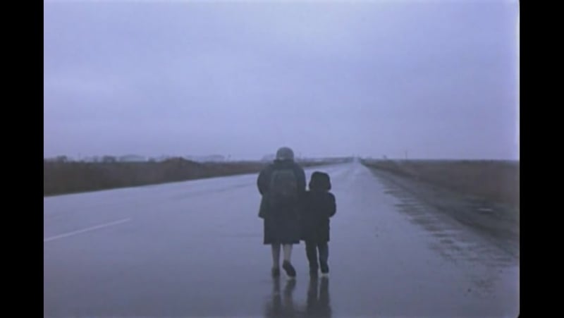 Тео ангелопулос пейзаж в тумане \ theo angelopoulos topio stin omichli (1988,греция,франция,италия)
