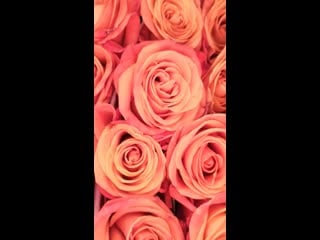 Androvid join 2239 5308 mp4