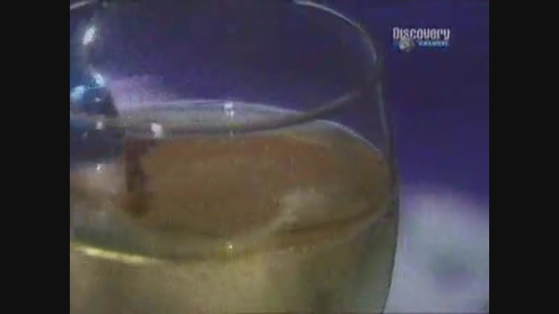 О сексе афродизиаки