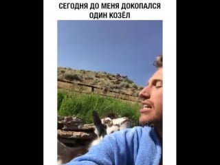 Сегодня до меня докатался один казел