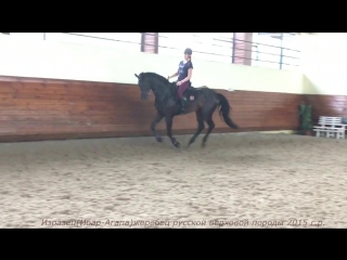 Продан! изразец(ибар агапа)жеребец русской верховой породы 2015 г р