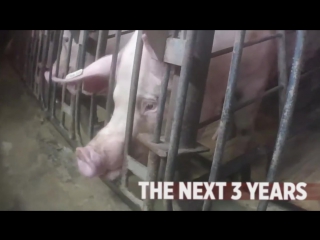 Jennys life in 30 seconds