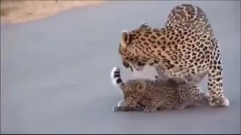 Evеry family has that оnе spесial porn whо will havе hishеr оwn way