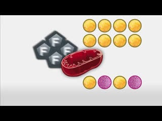 The skinny on obesity (ep 2) sickeningly sweet