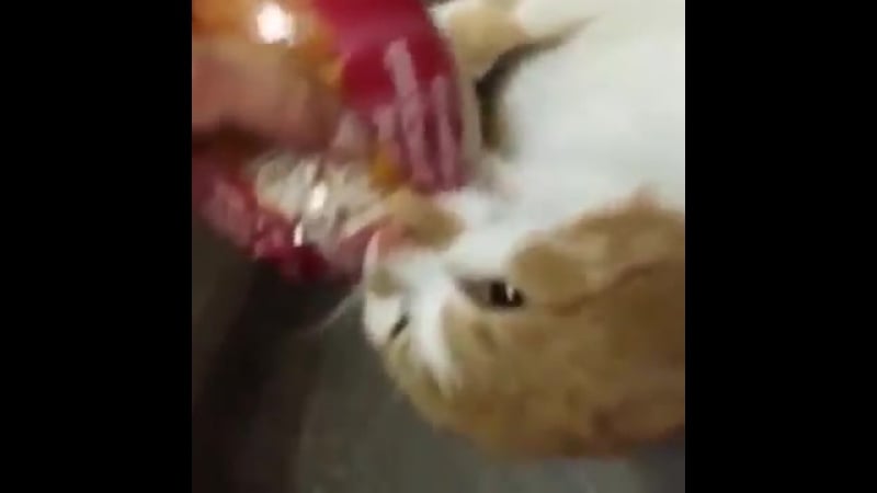 Боря, отдай булку! (vhs video)