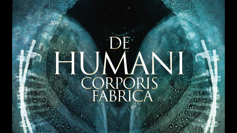 The fabric of the human body / de humani corporis fabrica (2022) dir lucien castaing taylor &amp; verena paravel
