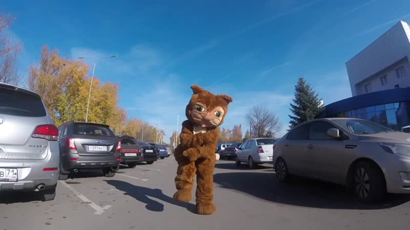 Skibidi challenge "лукоморье"