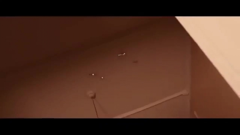 Анима и ркн