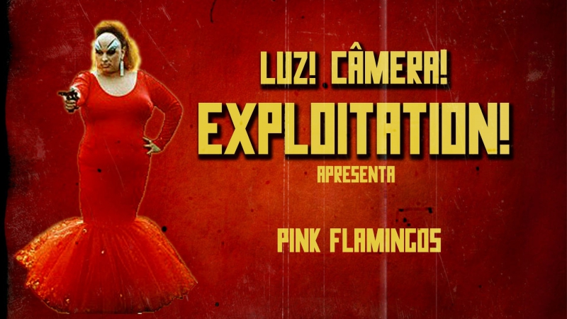 Розовые фламинго / pink flamingos (1972)