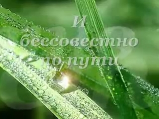 Моему любимому посвещаеться