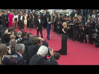 Cate blanchett, natalie portman, benicio del toro, josh brolin, emily blunt, joe jackson at 'sicario' red carpet on may 19, 2015