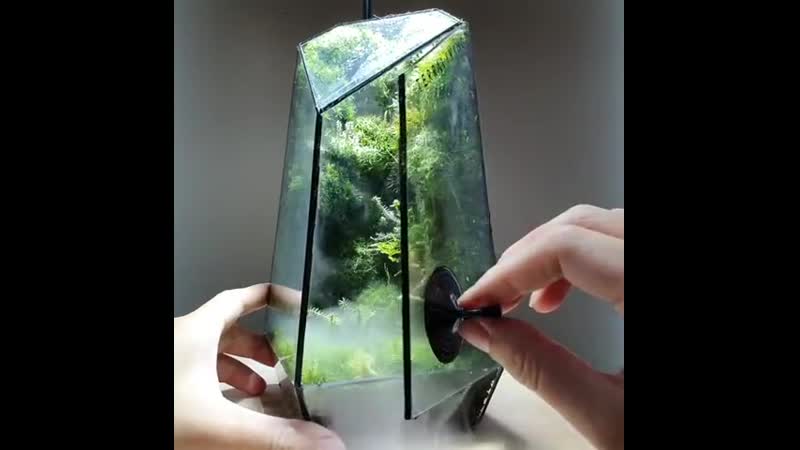 Подарите две