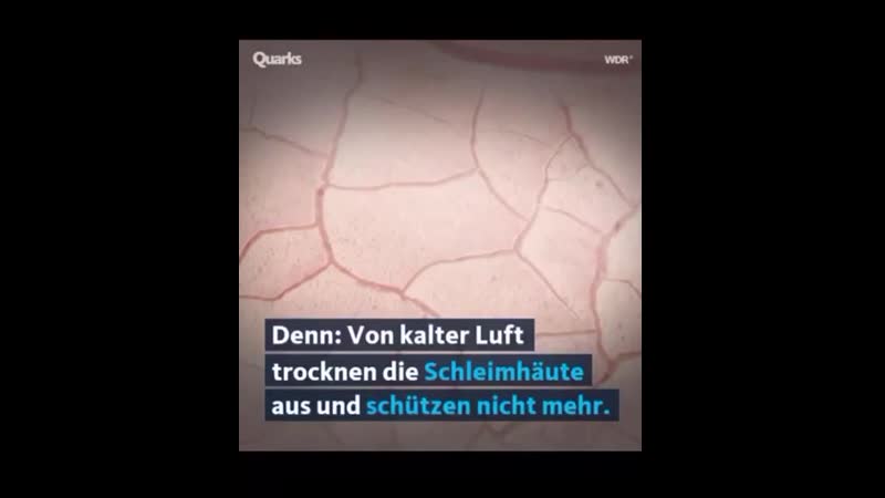 Warum gibt es in den schulen diese corna massnahmen