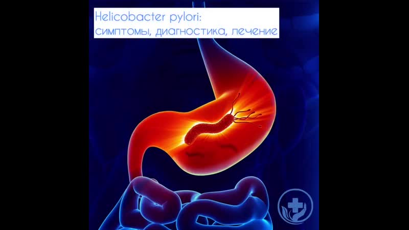 Диагностика хеликобактер пилори клиническая поликлиника №3