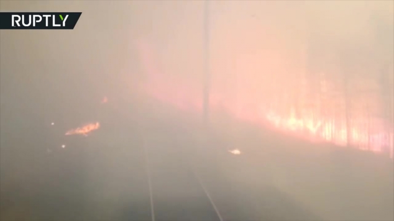 Поезд, проехавший через лесной пожар в комсомольске на амуре, попал на видео
