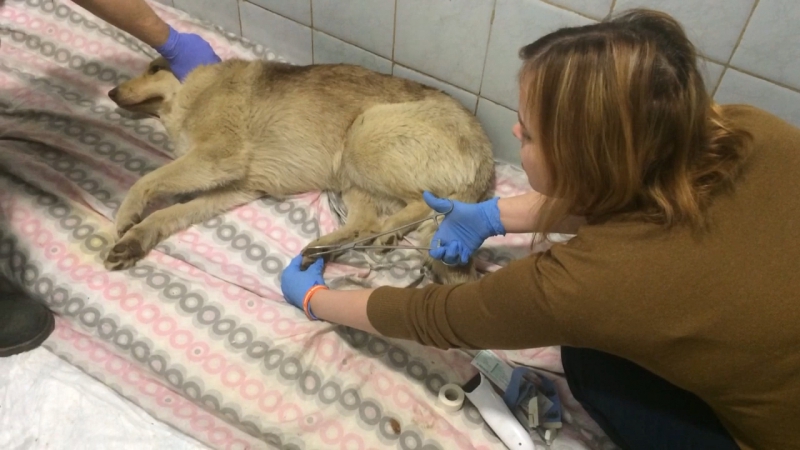 Проверяю чувствительность моих ножек