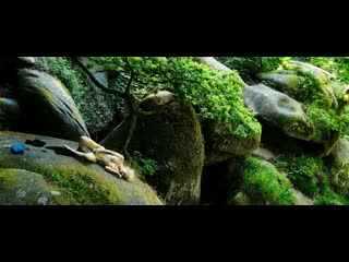 Клаудиа фортунато / claudia fortunato vortex ( 2019 )