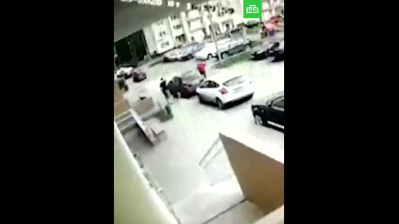 Натравил пса