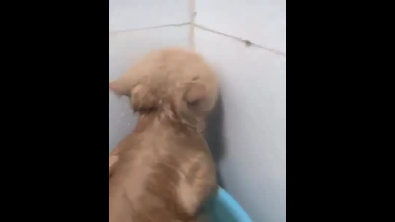 Поддай парку