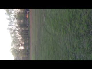Приезжайте тусить