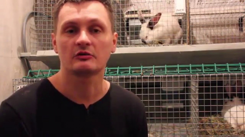 Подогрев зимой маточника для кроликов, как покрыть крольчиху