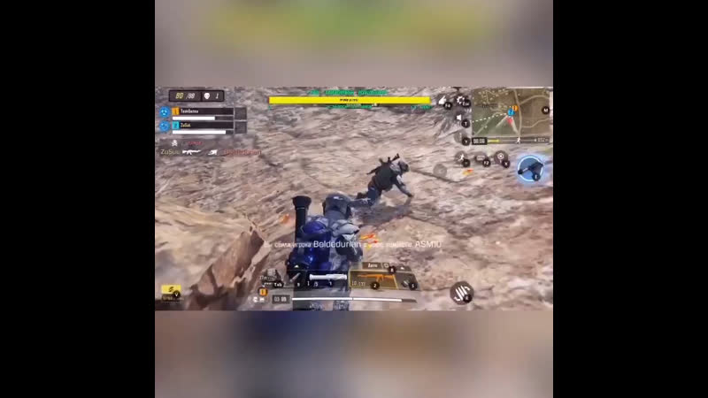 Щенки?! эээ мохнатый мотороллер)))