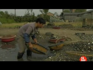 Тяжелый металл жизнь или жесть heavy metal