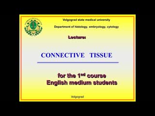 Lecture connective tissue