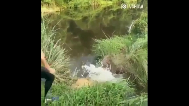 Когда осознал что ты самостоятельный