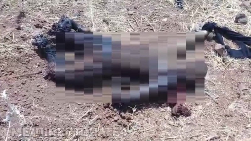 Погибший пилот ввс сирии, упавший на территорию, подконтрольную боевикам исламского государства