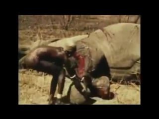 Crazy african tribe hunting wild porn video horror sex hunting ( 360 x 640 ) mp4