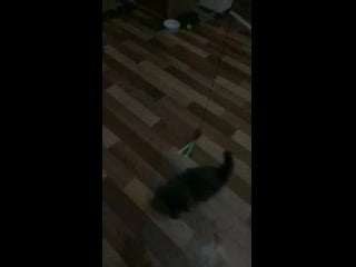 Vid 20200521 220157 mp4