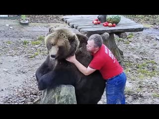 Папа пришёл больше ничего не надо медведь мансур 👮🐻💞