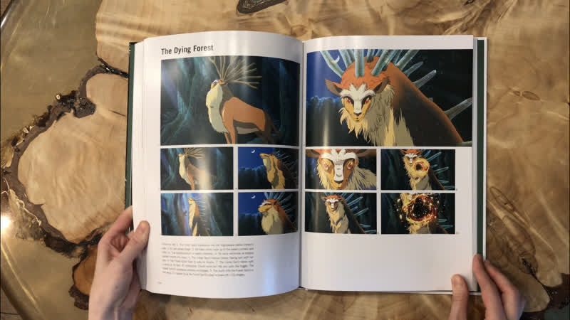 Пионер листает «the art of princess mononoke»