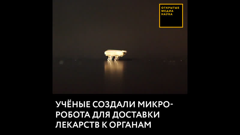 Учёные создали микроробота для достаи лекарств к органам