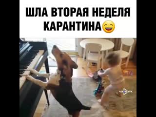 Sarafan video 20200326 2 mp4