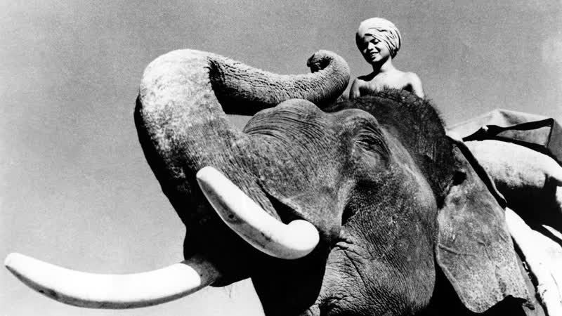 1937 маленький погонщик слонов / elephant boy