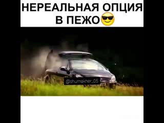 Нереальная опция в пежо